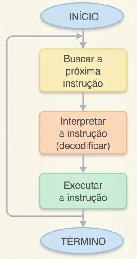 ciclo de instrução